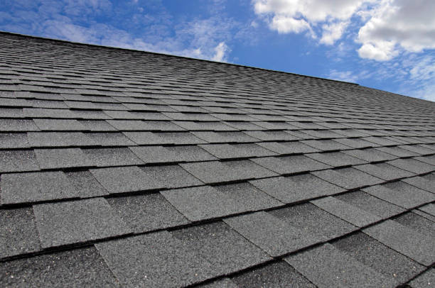 Best Roof Moss and Algae Removal  in Canby, OR